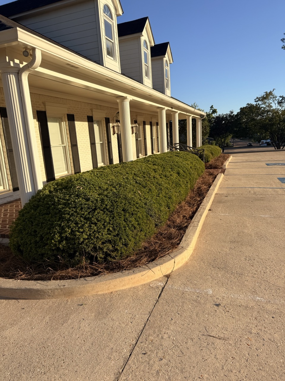 Commercial Shrub Trimming And Bed Maintenance In Oxford, MS